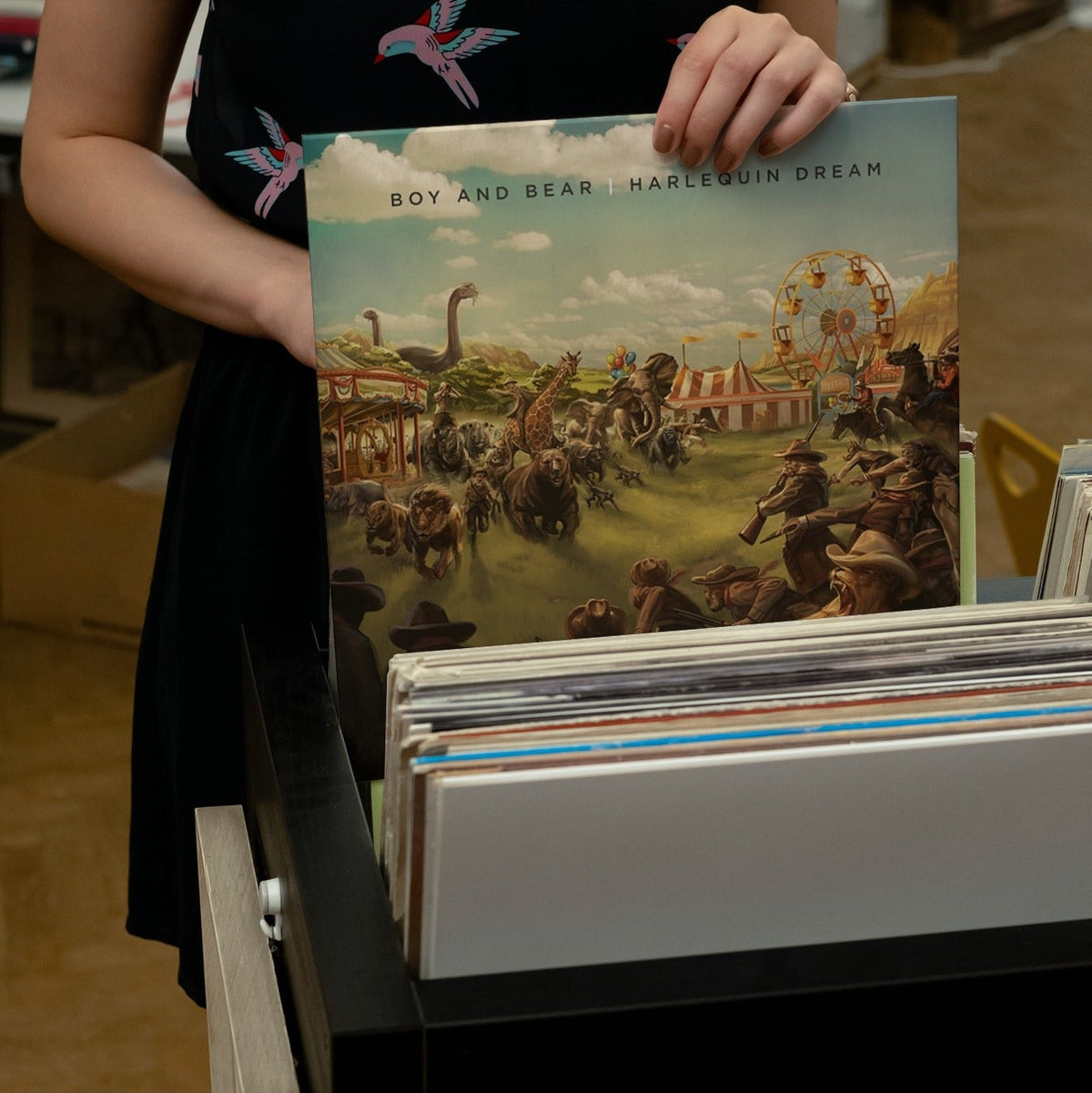 Boy & Bear - Harlequin Dream - {Vinyl LP}