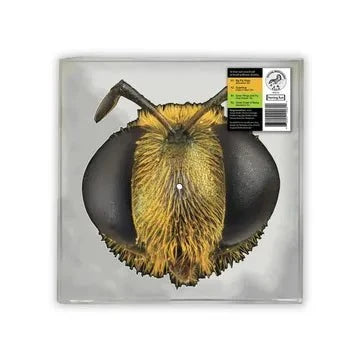 King Gizzard & The Lizard Wizard - Big Fig Wasp - RSD 2026 Bee Shaped Picture Disc {vinyl LP}
