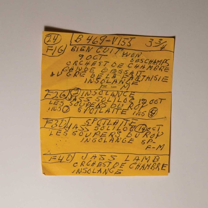 Mac Demarco - Here Comes The Cowboy Demos - {vinyl LP}