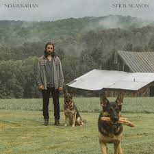 Noah Kahan - Stick Season - Chestnut Brown {vinyl LP}