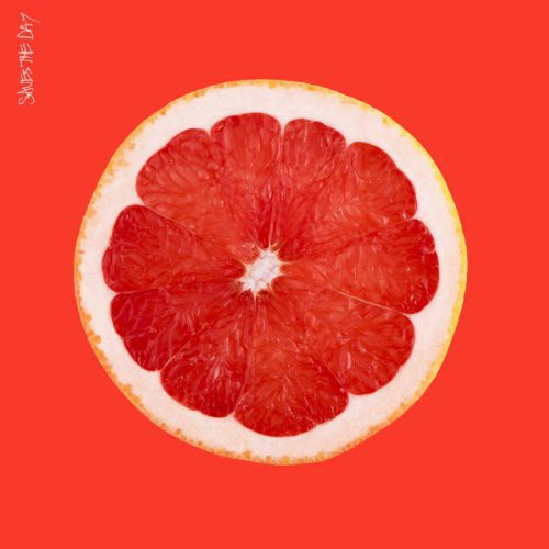 Saves the Day - Saves the Day LP