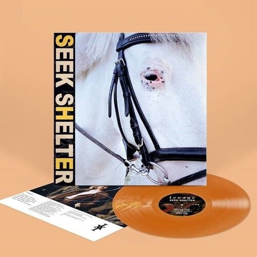 Iceage - Seek Shelter LP (Orange Vinyl)