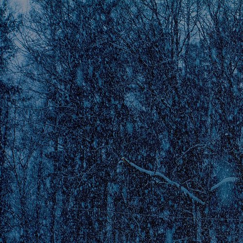 Jesu - Never LP
