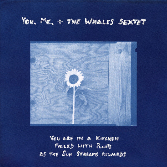 You, Me, + The Whales Sextet - You Are In A Kitchen Filled With Plants As The Sun LP