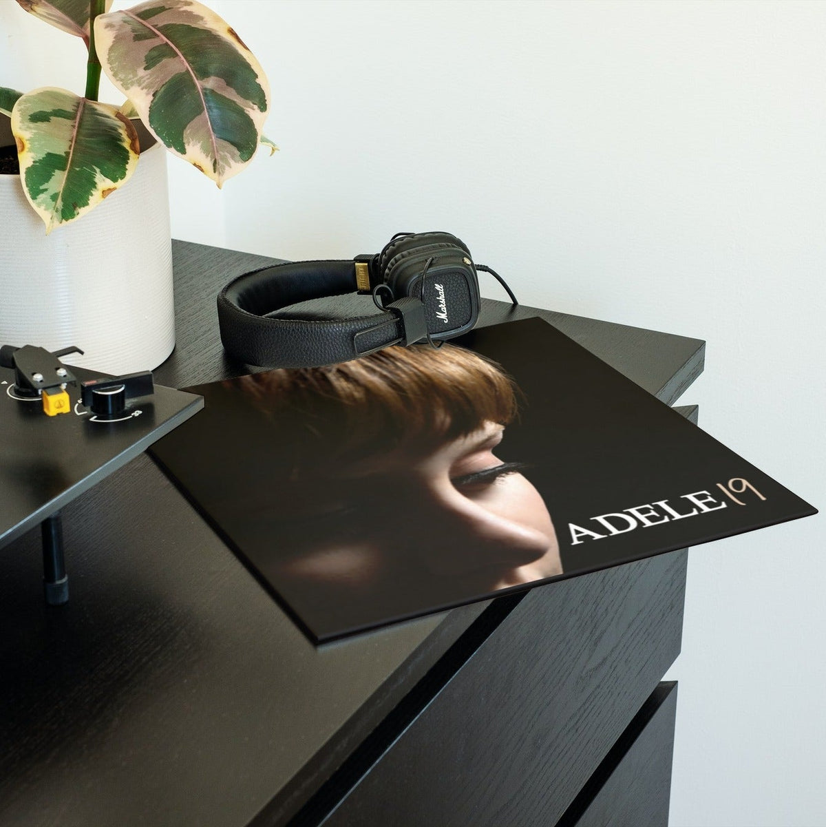Adele - 19 - {vinyl LP}