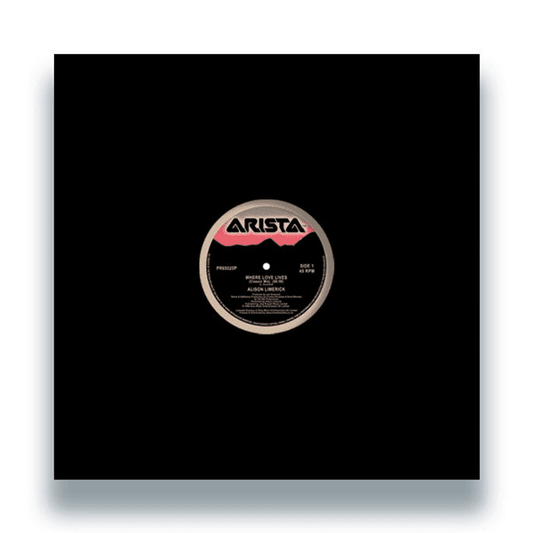 Alison Limerick - Where Love Lives - Vinyl 12” Single