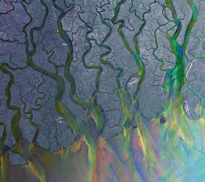 Alt-J - An Awesome Wave - Fern Green {vinyl LP}