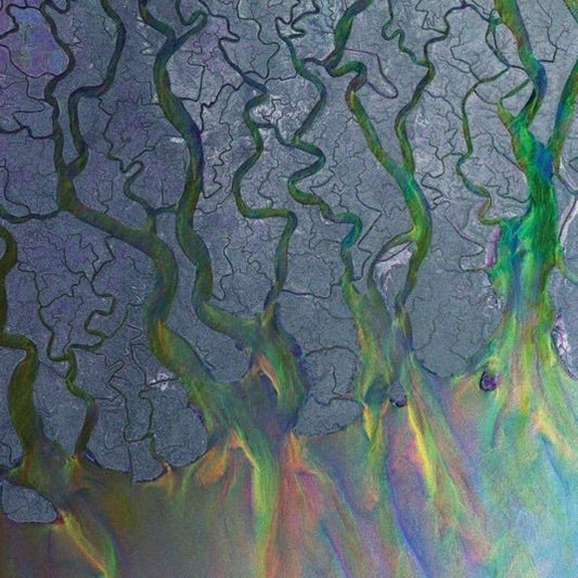 Alt-J - An Awesome Wave - {vinyl LP}
