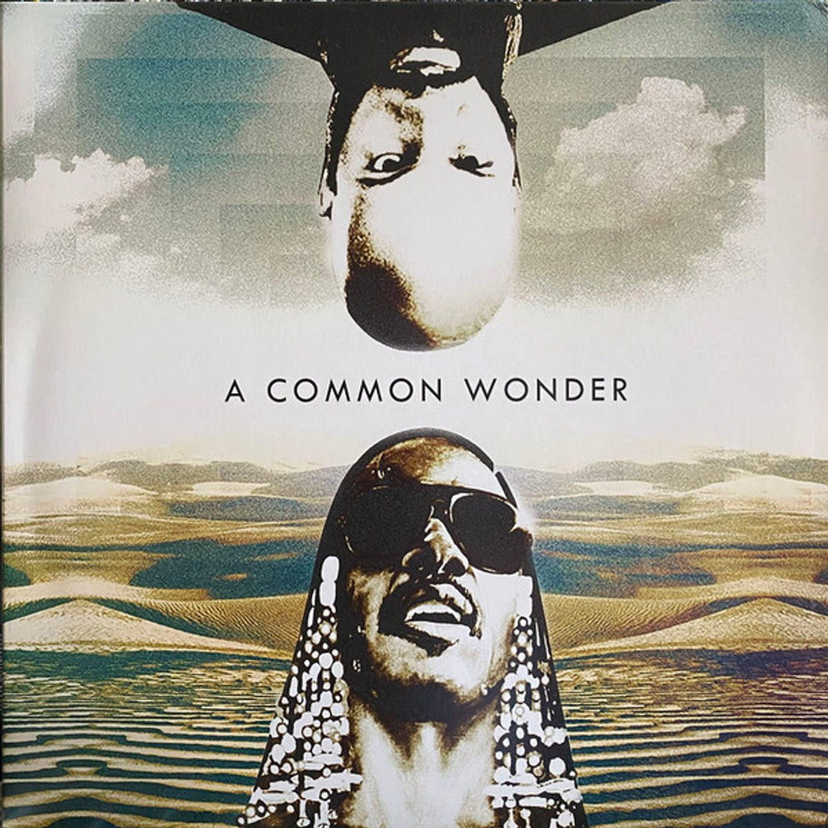 Amerigo Gazaway – A Common Wonder -  {vinyl LP}