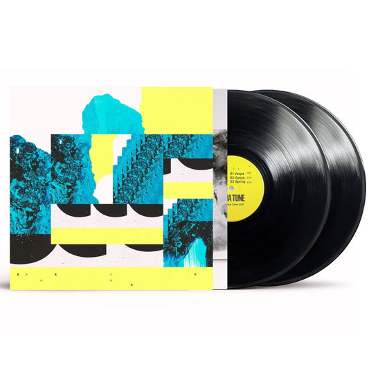 Bicep - Bicep - (Vinyl LP Record)
