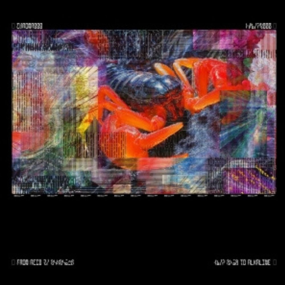 Bicep - Chroma 000 - (Vinyl LP Record)