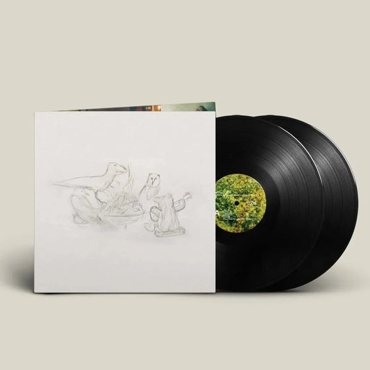 Big Thief - Dragon New Warm Mountain I Believe In You - {vinyl LP}