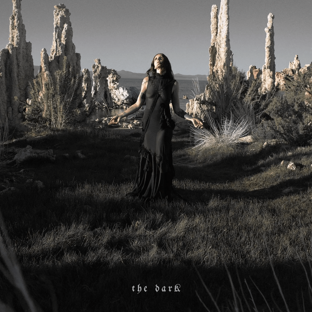 Chelsea Wolfe - The Dark - {vinyl LP}