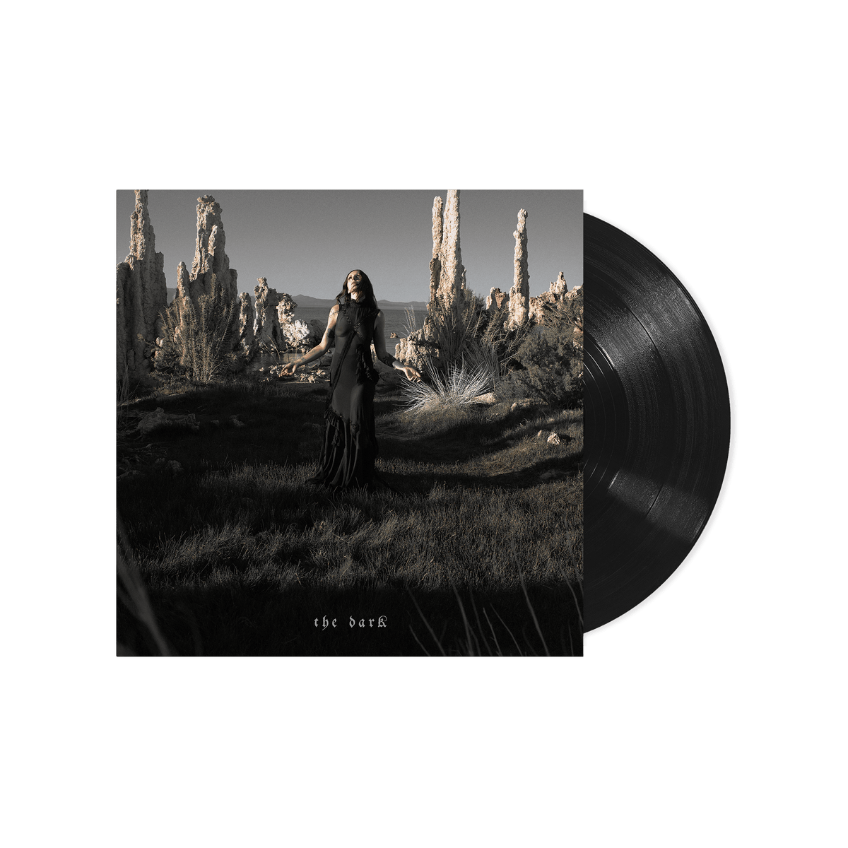 Chelsea Wolfe - The Dark - {vinyl LP}