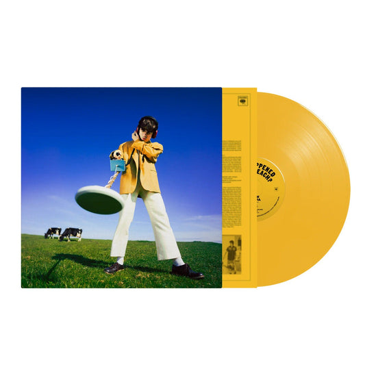 Declan McKenna - What Happened To The Beach? - Yellow{vinyl LP}