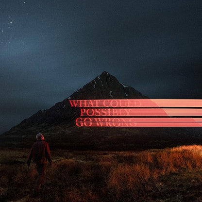 Dominic Fike - What Could Possibly Go Wrong -  {vinyl LP}
