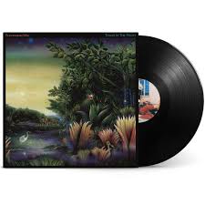 Fleetwood Mac - Tango in the Night - {vinyl LP}