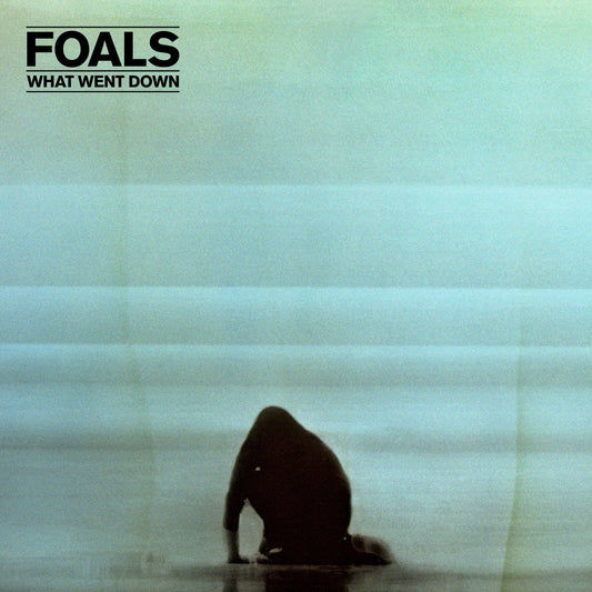 Foals - What Went Down - {vinyl LP}