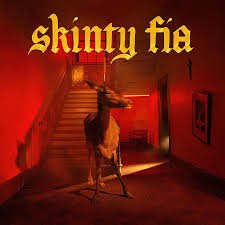 Fontaines D.C. - Skinty Fia - {vinyl LP}