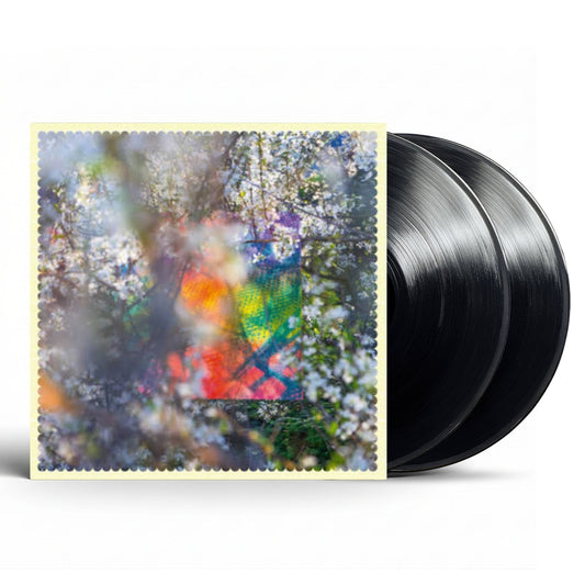 Four Tet - Sixteen Oceans - (Vinyl LP Record)