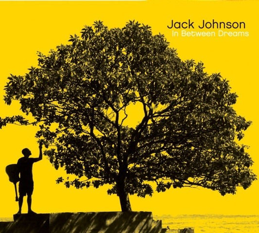 Jack Johnson - In Between Dreams - {vinyl LP}