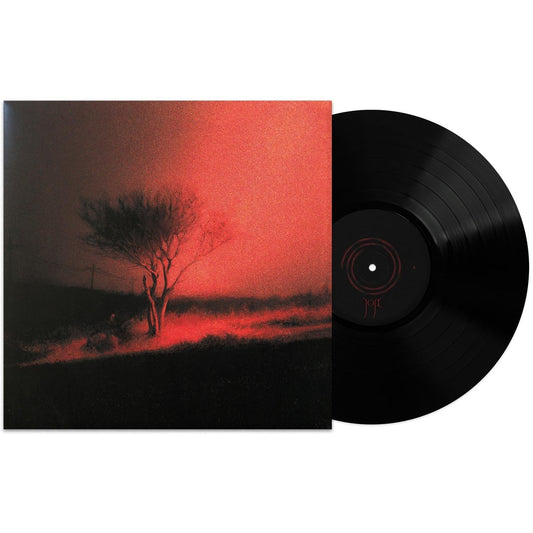 Joji - Piss In The Wind -{vinyl LP}