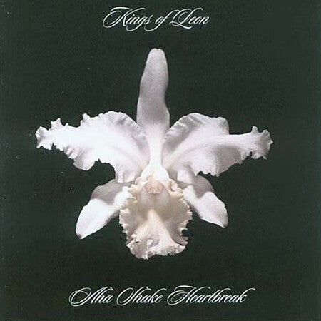 Kings of Leon - Aha Shake Heartbreak - {vinyl LP}