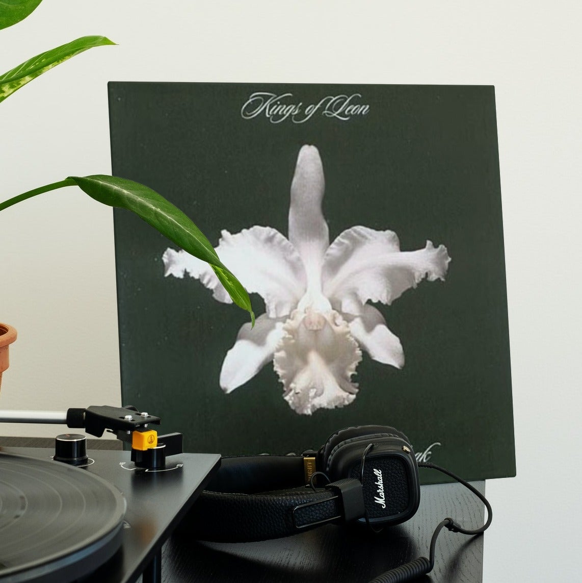 Kings of Leon - Aha Shake Heartbreak - {vinyl LP}
