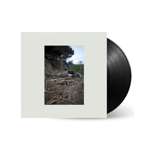 Mac Demarco - Five Easy Hot Dogs - {vinyl LP}