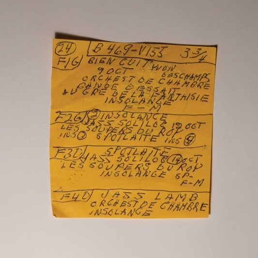 Mac Demarco - Here Comes The Cowboy Demos - {vinyl LP}
