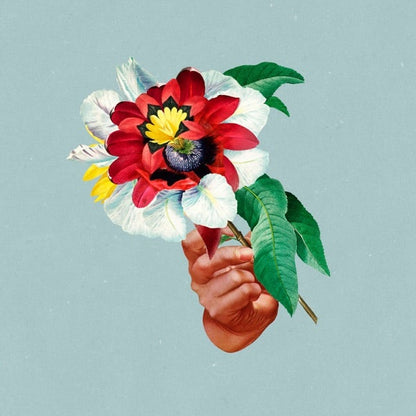 Maribou State - Kingdoms In Colour - {vinyl LP}
