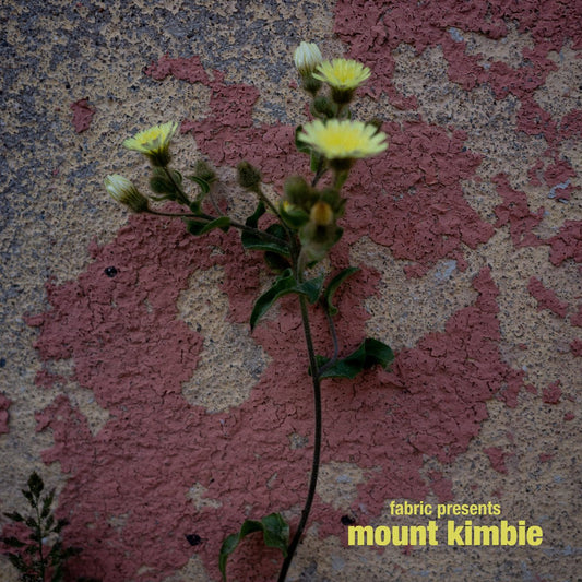 Mount Kimbie - fabric presents Mount Kimbie - {vinyl LP}