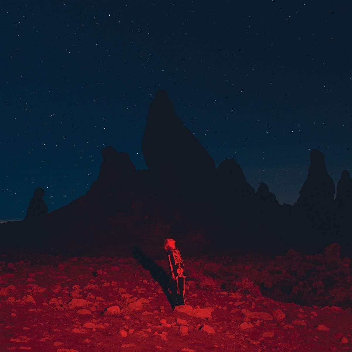 Phoebe Bridgers - Punisher - {vinyl LP}