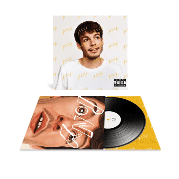 Rex Orange County ‎-  Pony -{vinyl LP}