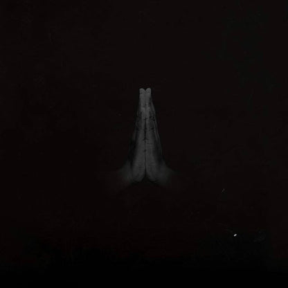 Sault - Untitled (Rise) - Vinyl LP Record