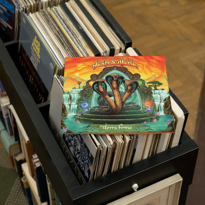 Tash Sultana - Terra Firma - {Vinyl LP}