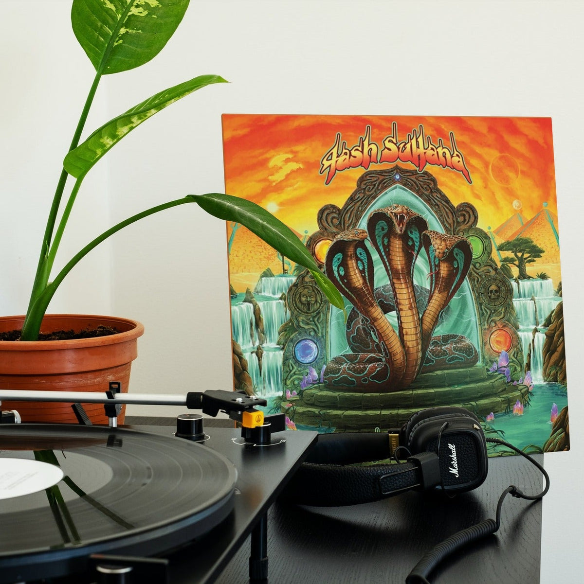 Tash Sultana - Terra Firma - {Vinyl LP}