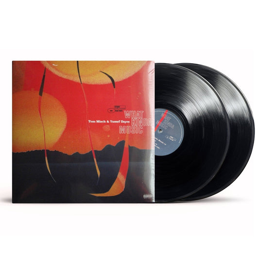 Tom Misch & Yussef Dayes ‎– What Kinda Music - {vinyl LP}