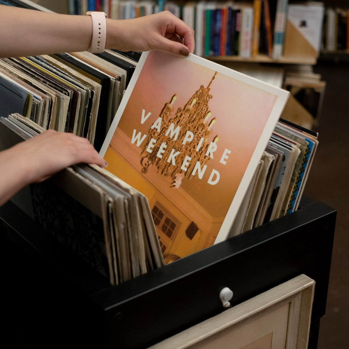 Vampire Weekend - Vampire Weekend - {vinyl LP}