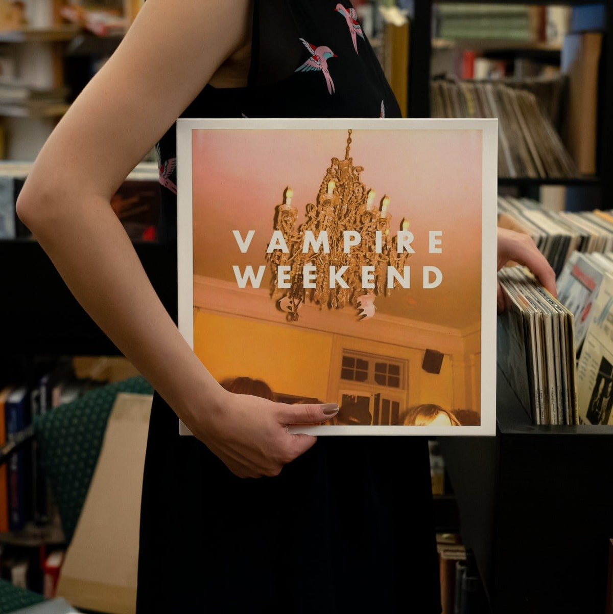Vampire Weekend - Vampire Weekend - {vinyl LP}
